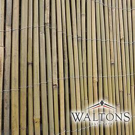Bamboo Cane Screen Roll - 1X4M